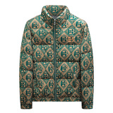 2025新款男士立领开衫时尚潮流羽绒服外套QT6012AFD7807-P310，男装羽绒服，阿丰达