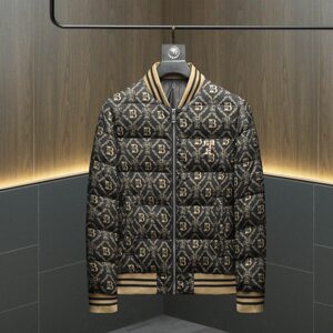 2026新款男士立领开衫时尚潮流羽绒服外套QT6012AFD7801-P300图片