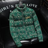 2025新款男士立领开衫时尚潮流羽绒服外套QT6012AFD7802-P310，男装羽绒服，阿丰达