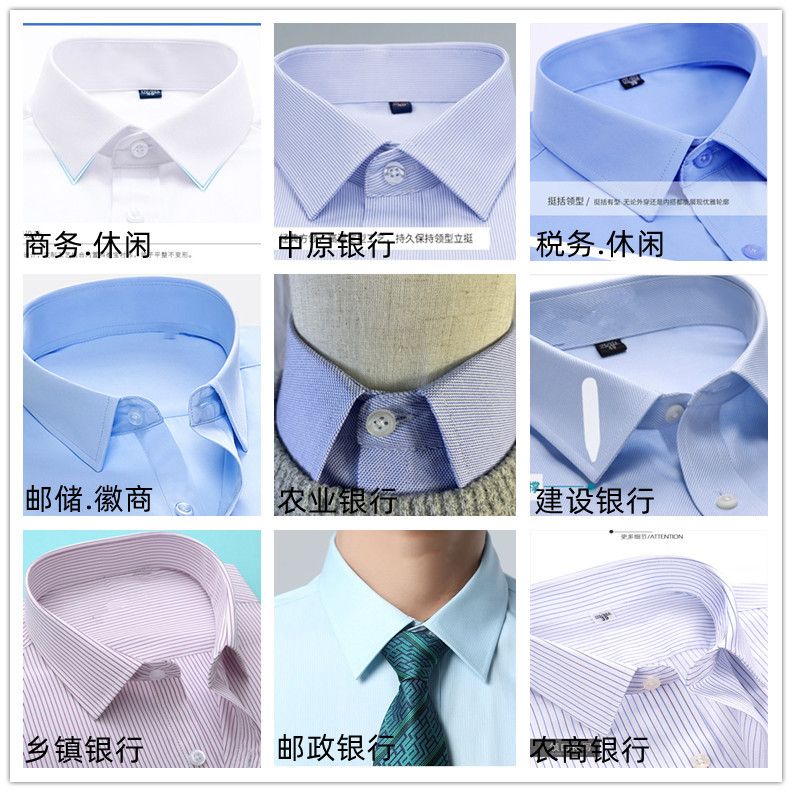 职业银行白色假领子男女通用衬衫领毛衣装饰领尖领方领节约领