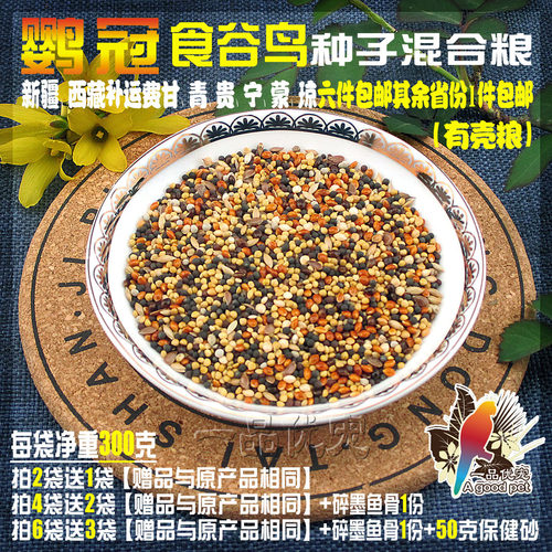 文鸟七彩芙蓉金翅金丝雀玉鸟金青黄雀白燕麻料十姐妹鸟粮饲料包邮 - 封面