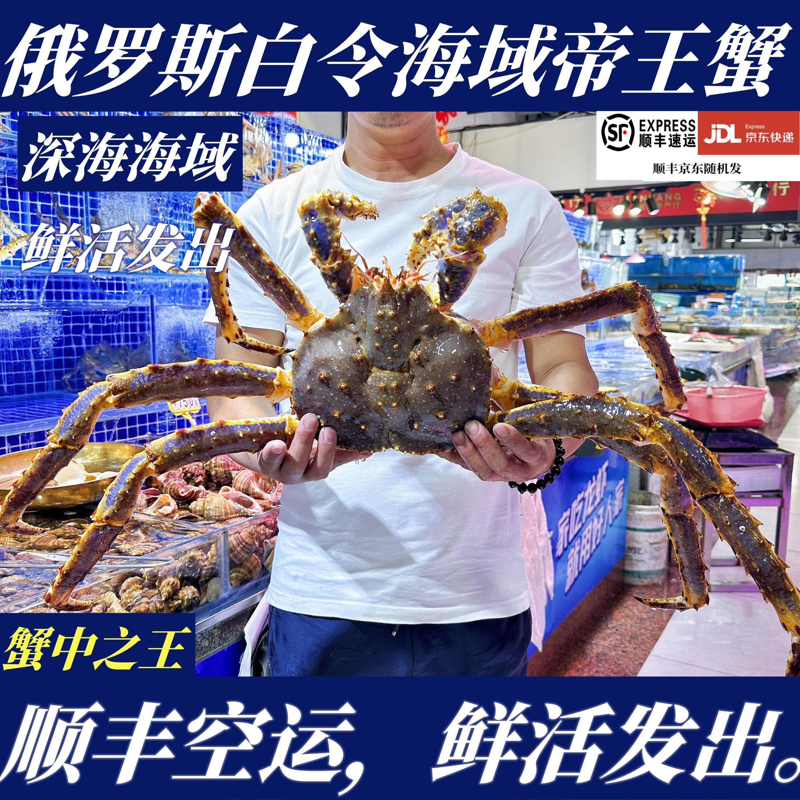 【顺丰特快】鲜活帝王蟹俄罗斯蓝蟹红蟹挪威红帝王蟹大连打氧活发
