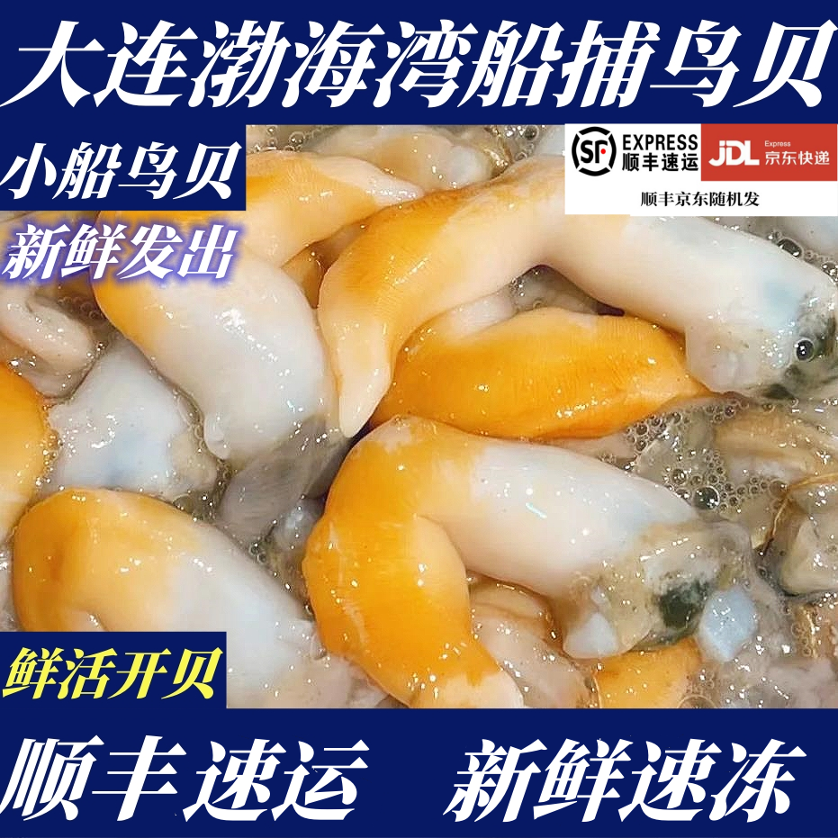 【顺丰特快】人工开贝大连渤海湾鸟贝小船鸟贝非带壳鸟贝冻鸟贝肉,水产肉类/新鲜蔬果/熟食,贝类制品,淘宝优惠券,粉丝福利购,淘宝优惠卷