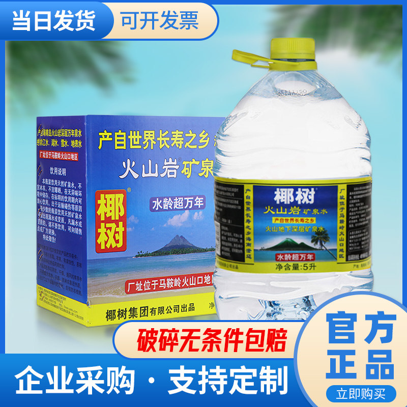 椰树火山岩泡茶水区域包邮图片