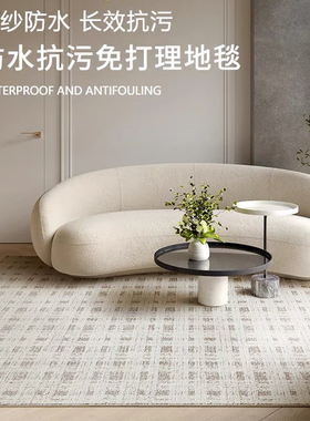 新款防水防污客厅地毯耐脏免洗免打理奶油风轻奢高级感侘寂风地毯