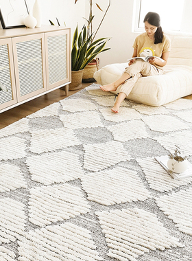 土耳其进口仿手工地毯卧室女孩床边夏季轻奢高级灰当季新品地毯