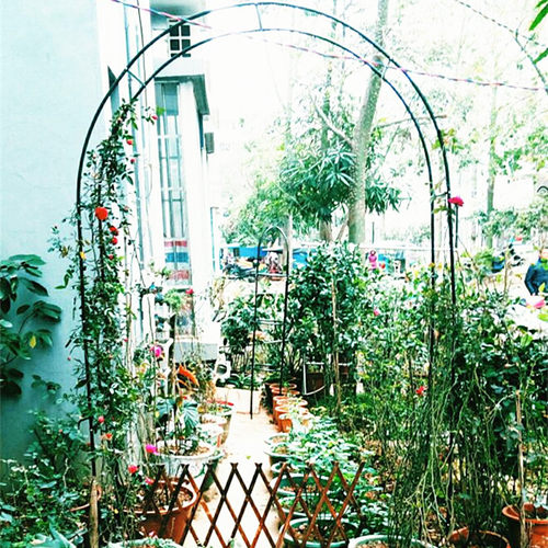 拱门花架植物攀藤架园艺支架百香果葡萄丝瓜爬藤架楼顶种菜爬藤 - 封面