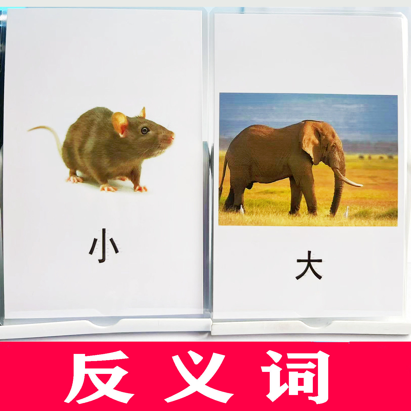 反义词卡片 自闭症儿童语言训练卡认知教具配对相对词孤独症康复