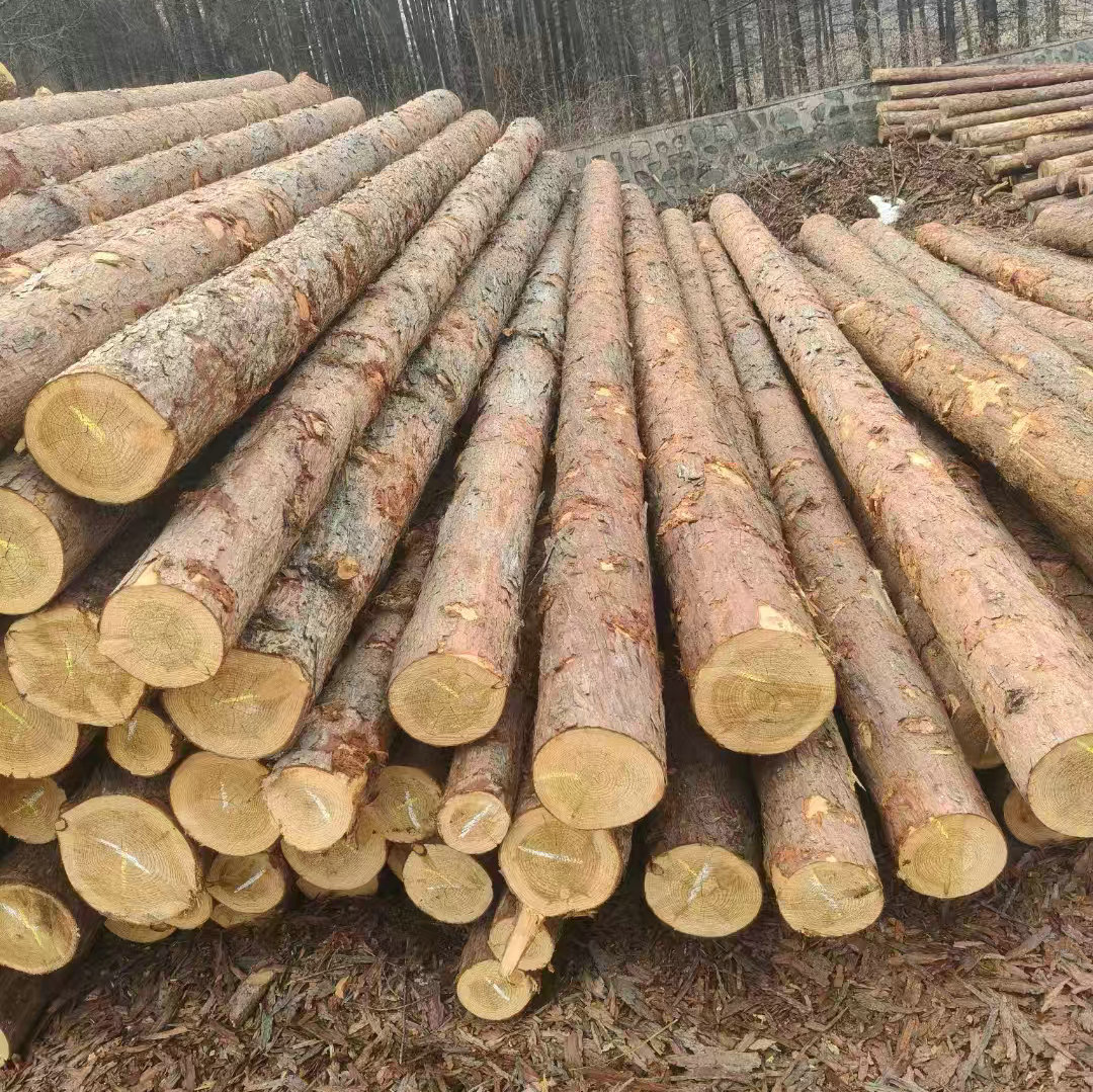 松木桩1米至8米均有现货可削尖