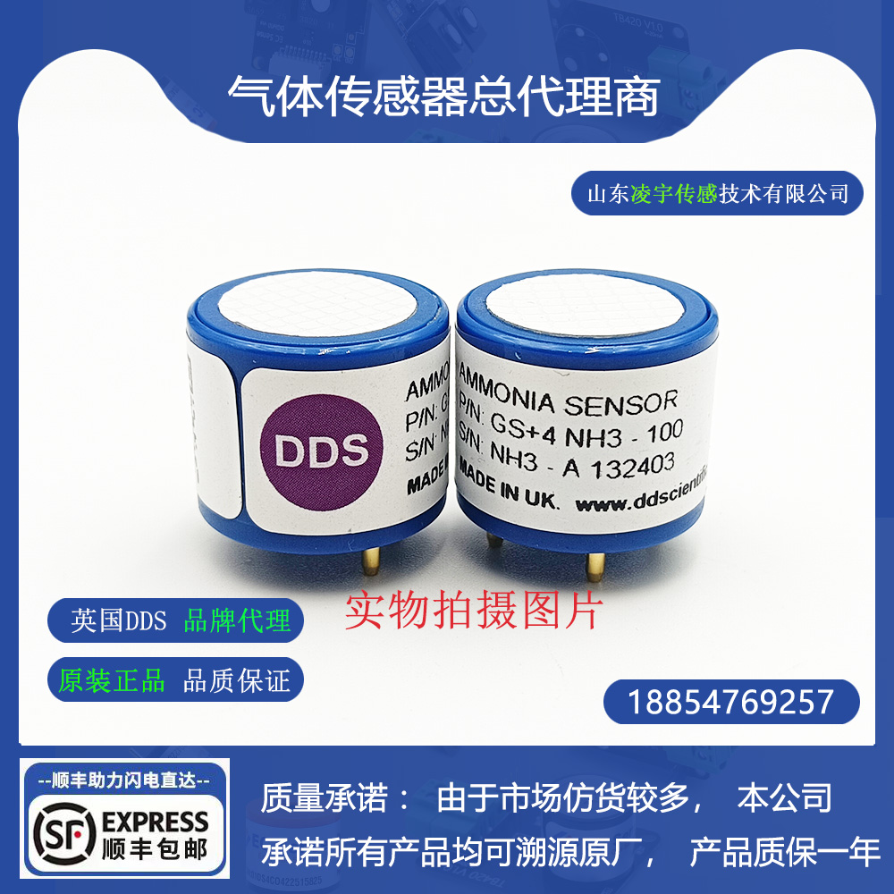 英国DDSGS+4NH3-100氨气传感器