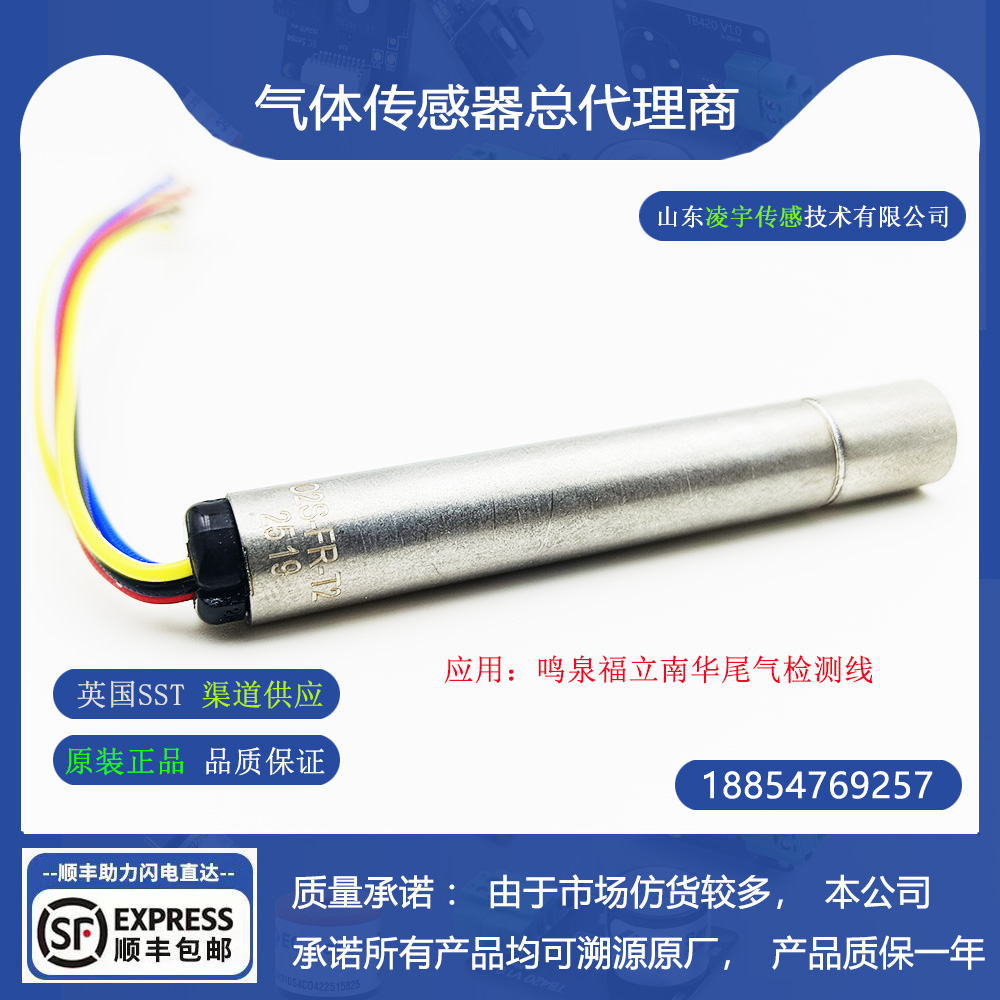 O2S-FR-T2氧化锆氧传感器