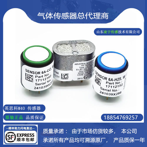 6A-H2S气体传感器6A-CO一氧化碳