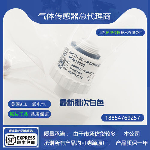 PSR-11-917-M氧电池传感器