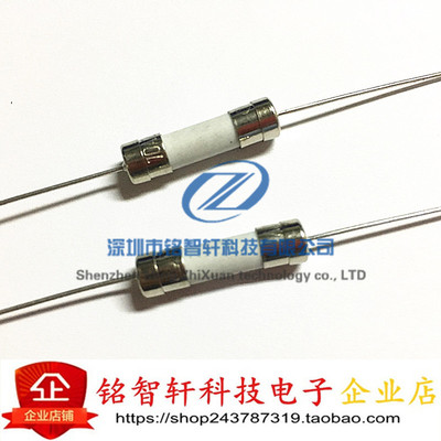 全新 10A 250V 5X20 5*20MM 陶瓷保险丝 带引脚 直插