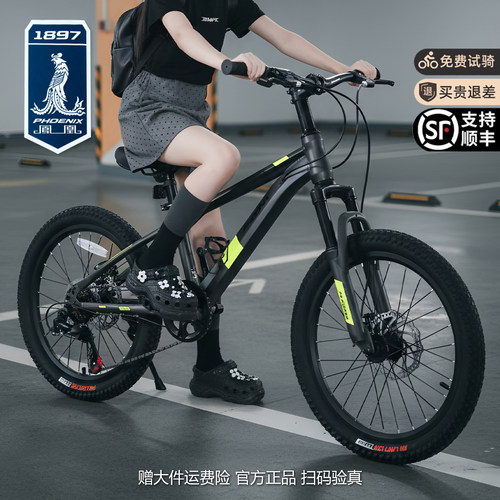 2025新款凤凰变速内走线碟刹单车