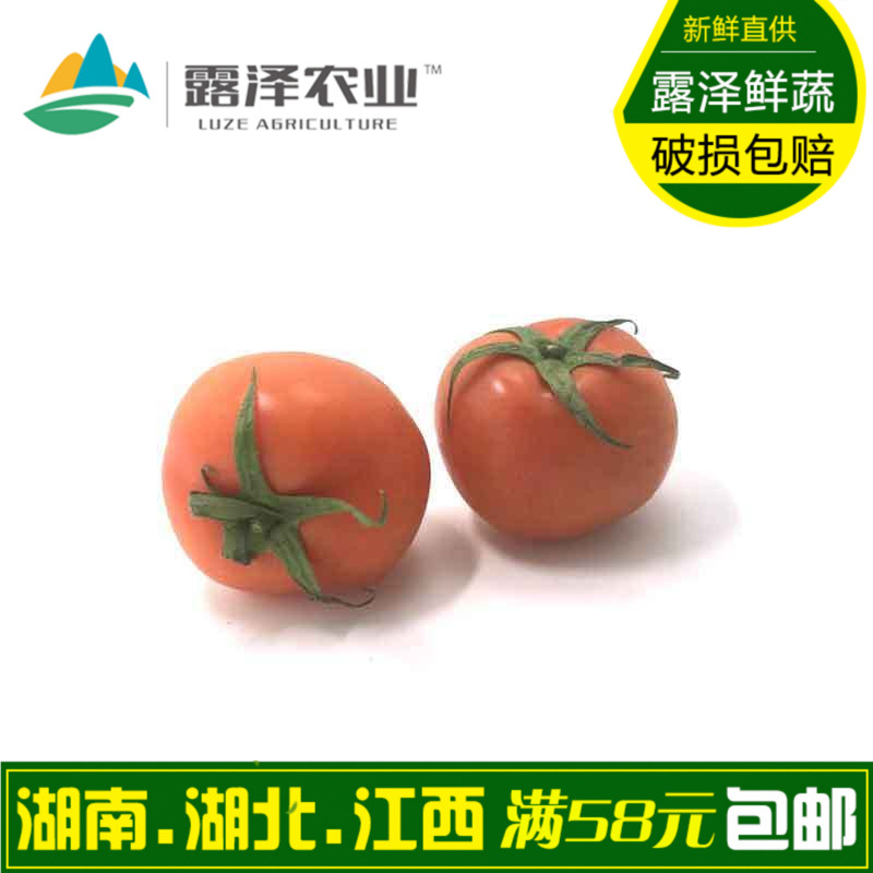 【露泽鲜蔬】新鲜西红柿番茄500g