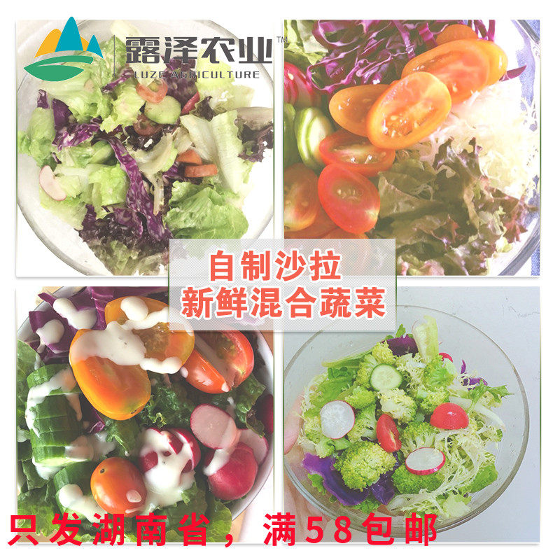 【露泽鲜蔬】新鲜沙拉蔬菜组合装混合沙拉菜蔬菜新鲜食材包 500g