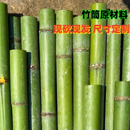 大小竹子竹筒新鲜现砍绿色纯天然花艺装饰摆件幼儿园环创原材料