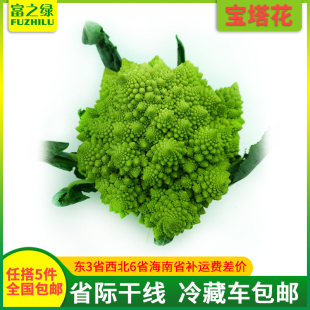 带保护外叶 新鲜宝塔花菜500g 包邮 任搭5份 产地直销 1000g