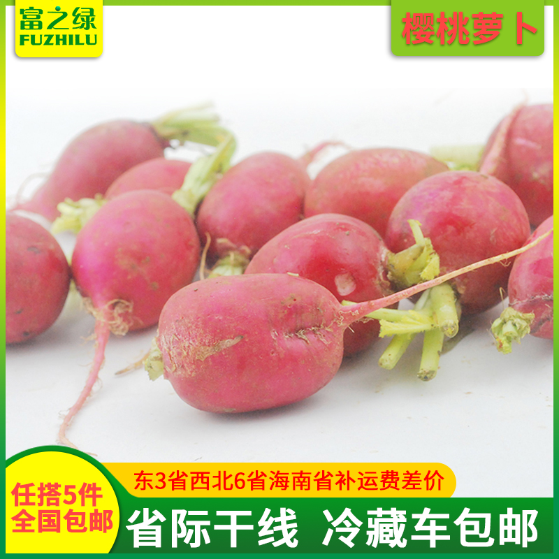 新鲜5份包邮蔬菜樱桃萝卜