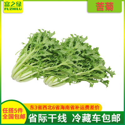 新鲜苦菊500克苦叶生菜