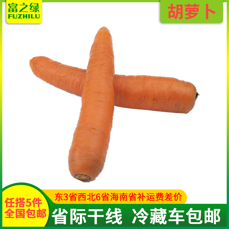 新鲜胡萝卜500克【任搭5份包邮】 红色胡萝卜生吃胡罗卜 新鲜蔬