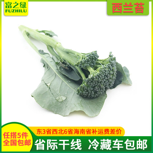 新鲜西兰苔500克【任搭5份包邮】 花苔 菜苔 新鲜兰花苔 产地直销