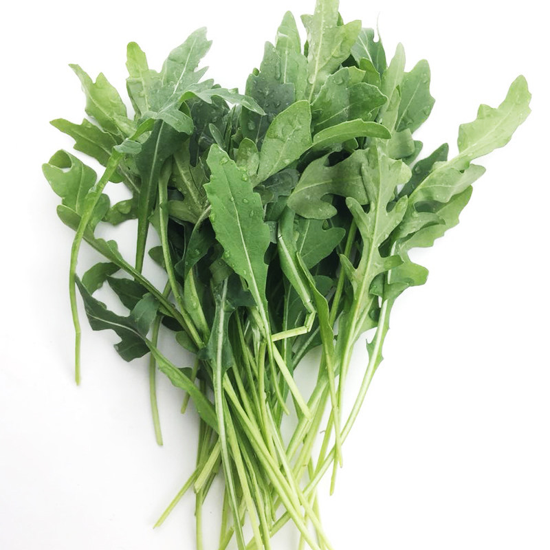 新鲜芝麻菜250克-500克【任搭5份包邮】 火箭菜 沙拉菜 产地直销