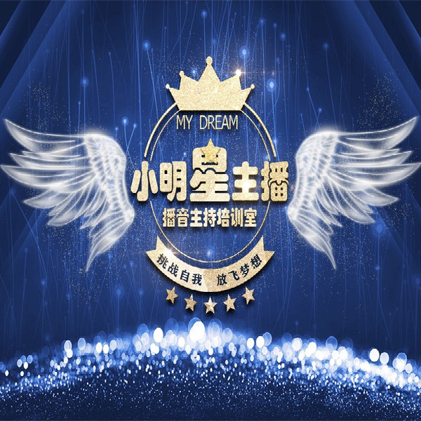 唱歌跳舞舞台口才背景布小主持人灯光炫彩播音主播学校拍照背景布