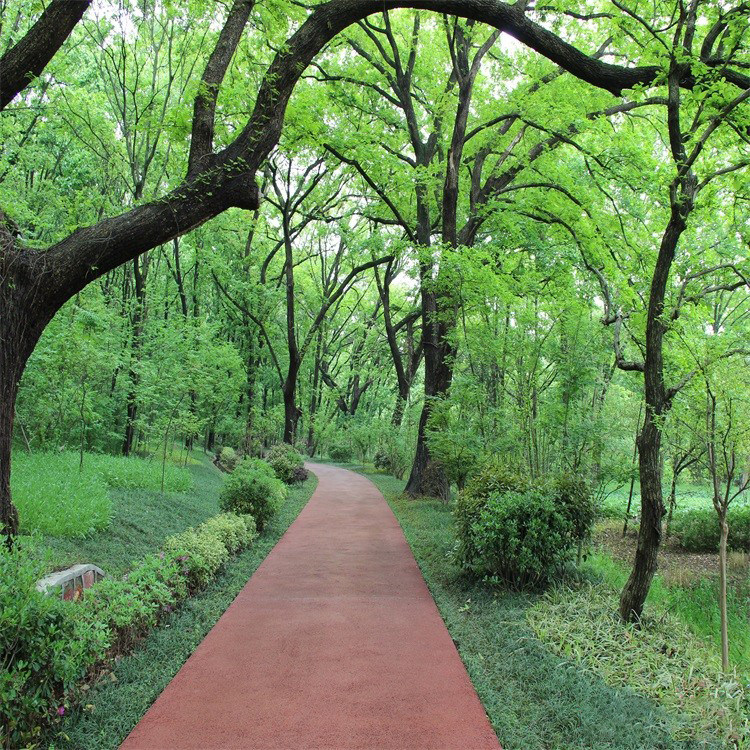 春天公园小路户外清新风景背景布树林小湖草地主播拍照直播背景布