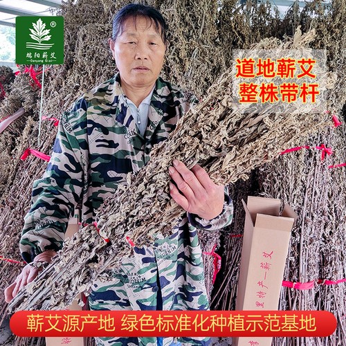 3年陈整棵带杆干艾草蕲春月子