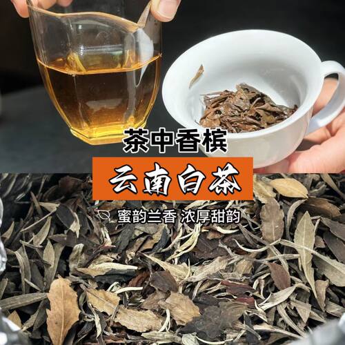 云南生态白茶茶底干净无科技狠活