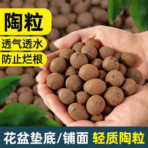 陶粒养花多肉绿植盆铺面垫底透气