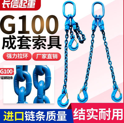 g100起重链条工具吊环进口神力