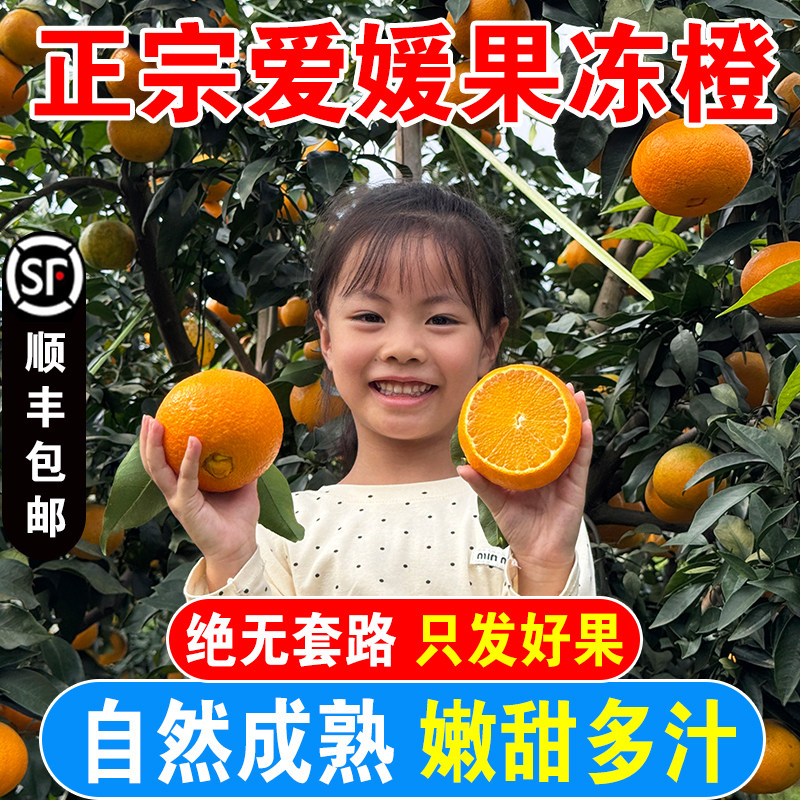 四川孕妇橘子蜜桔新鲜水果爱媛橙