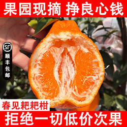 正宗四川春见耙耙柑当季新时令新鲜水果橘子粑粑柑丑桔整箱水果10