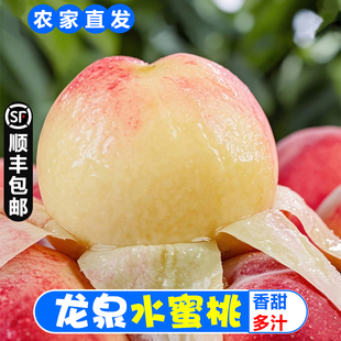正宗四川龙泉水蜜桃新鲜水果孕妇当季桃子时令水果香甜多汁整箱脆
