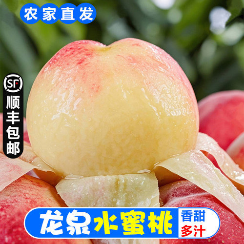 正宗四川龙泉水蜜桃新鲜水果孕妇当季桃子时令水果香甜多汁整箱脆
