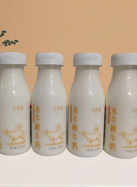 广西农垦西江乳业水牛鲜牛奶208g*12瓶4.0g蛋白口感清甜SF/JD发货