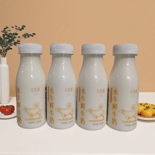 广西农垦西江乳业水牛鲜牛奶208g*12瓶4.0g蛋白口感清甜SF/JD发货