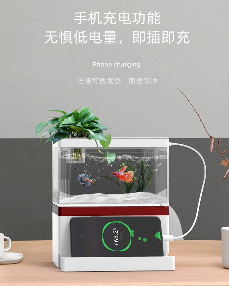 鱼缸小型客厅迷你缸创意造景生态缸免换水斗鱼缸家用桌面金鱼缸