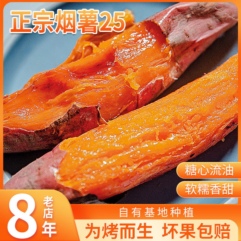 烟薯25山东富硒沙地流油红心番薯