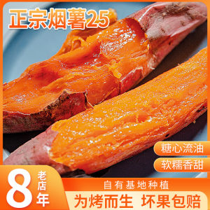 烟薯25山东富硒沙地流油红心番薯