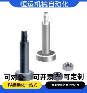 MIJ01 MIJ02 MIJ03 MIJ04 MIJ05 MIJ11 MIJ21 MIJ22 带肩铰链销