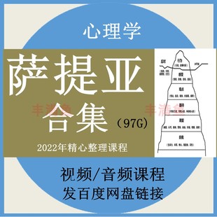 萨提亚合集课程家庭重塑冰山理论全集自我成长系统自学心理学教学
