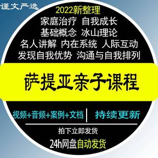 萨提亚课程后现代家庭排列冰山理论自我成长系统视频合集模式