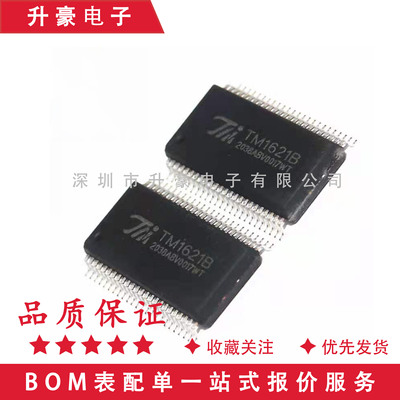 原装正品TM1621B 贴片SS0P48 LCD液晶驱动 低功耗段码液晶驱动