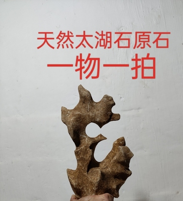 太湖石观赏摆件石英石墨石玲珑石盆景附石奇石天然原石点香石06