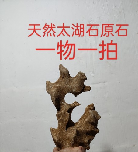 太湖石观赏摆件石英石墨石玲珑石盆景附石奇石天然原石点香石C01