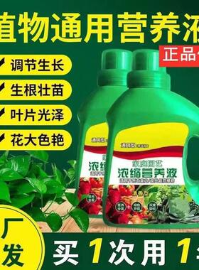 营养液绿植花卉专用浓缩营养液园艺肥料绿萝多肉用营养土绿叶